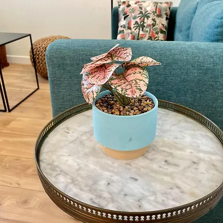 Sur Les Toits Du Havre - Centre-Ville - Proche Mer * Le Havre